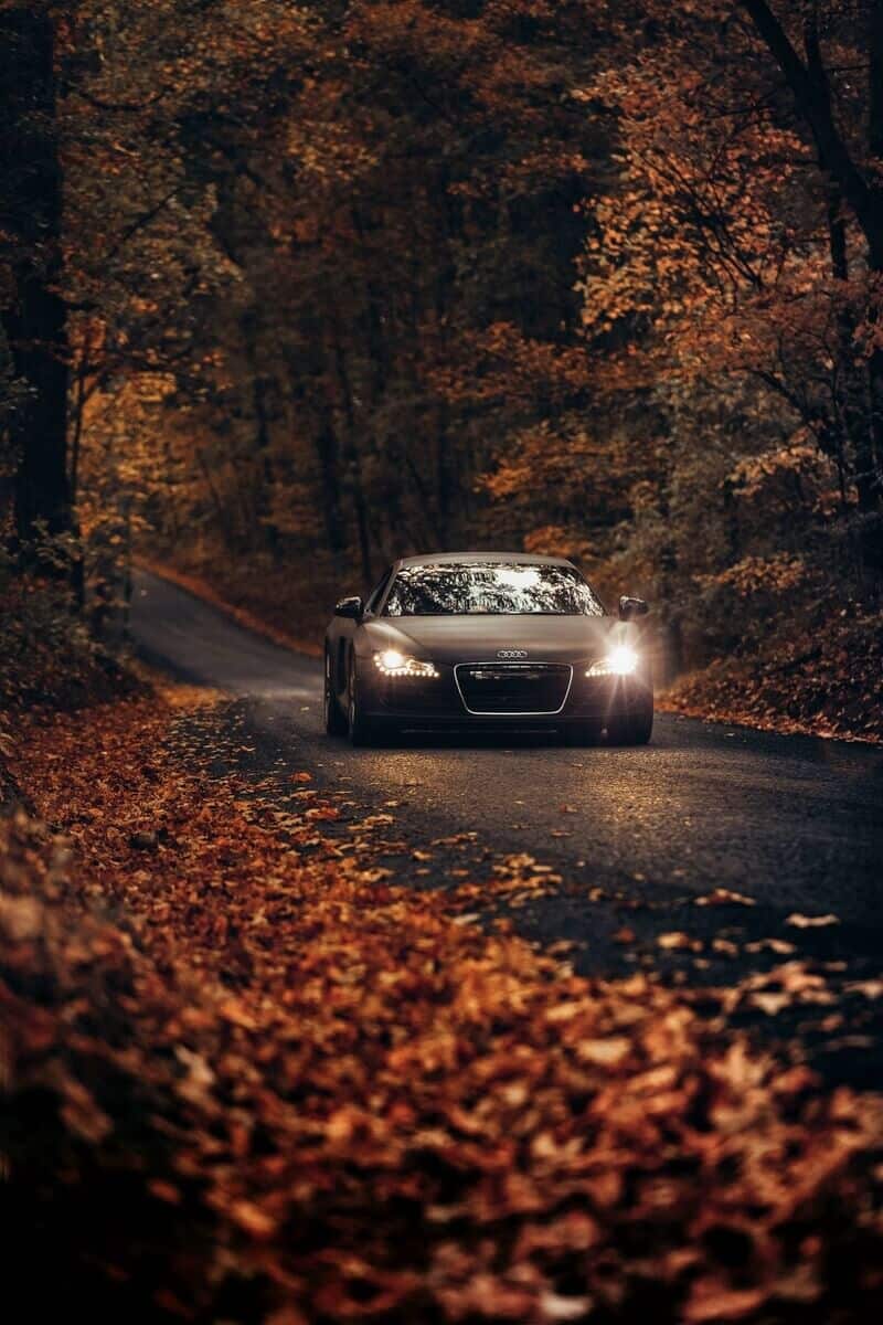 Audi on the Road
